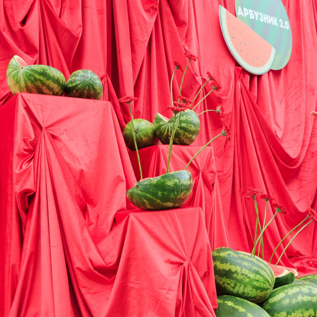 Отзывы. Семейный фотограф в Иваново Ирина Кузнецова