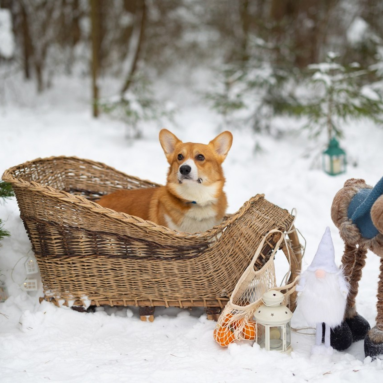 Отзывы. PRO АЛЬБОМ | Выпускные альбомы Иваново Ярославль