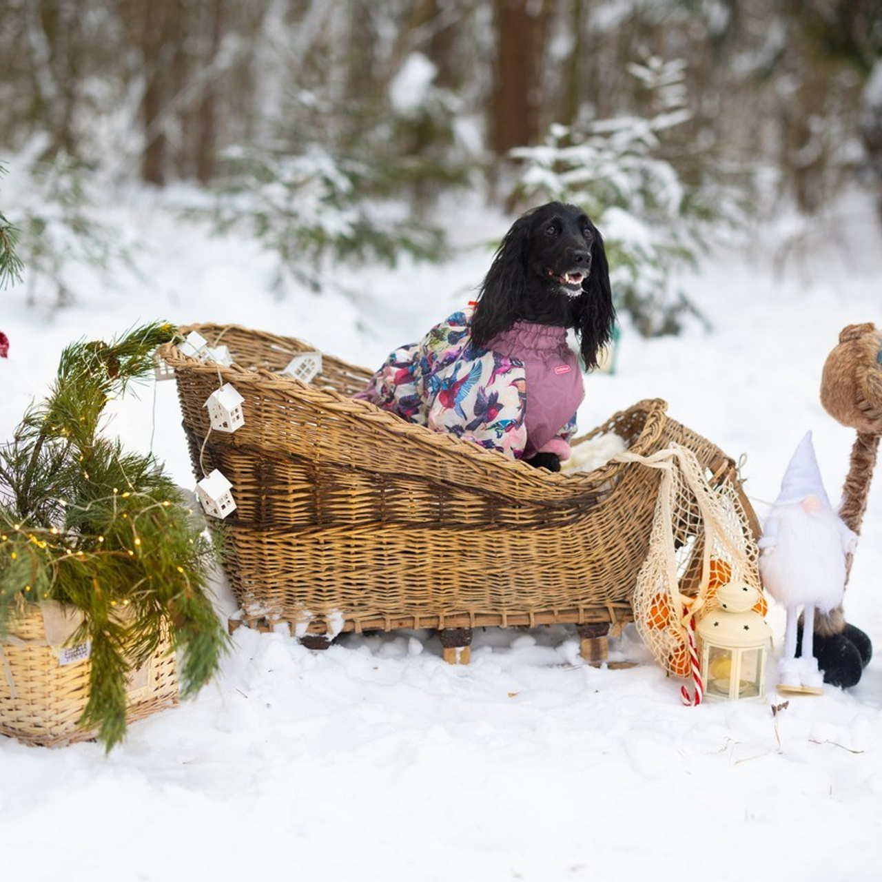 Отзывы. PRO АЛЬБОМ | Выпускные альбомы Иваново Ярославль