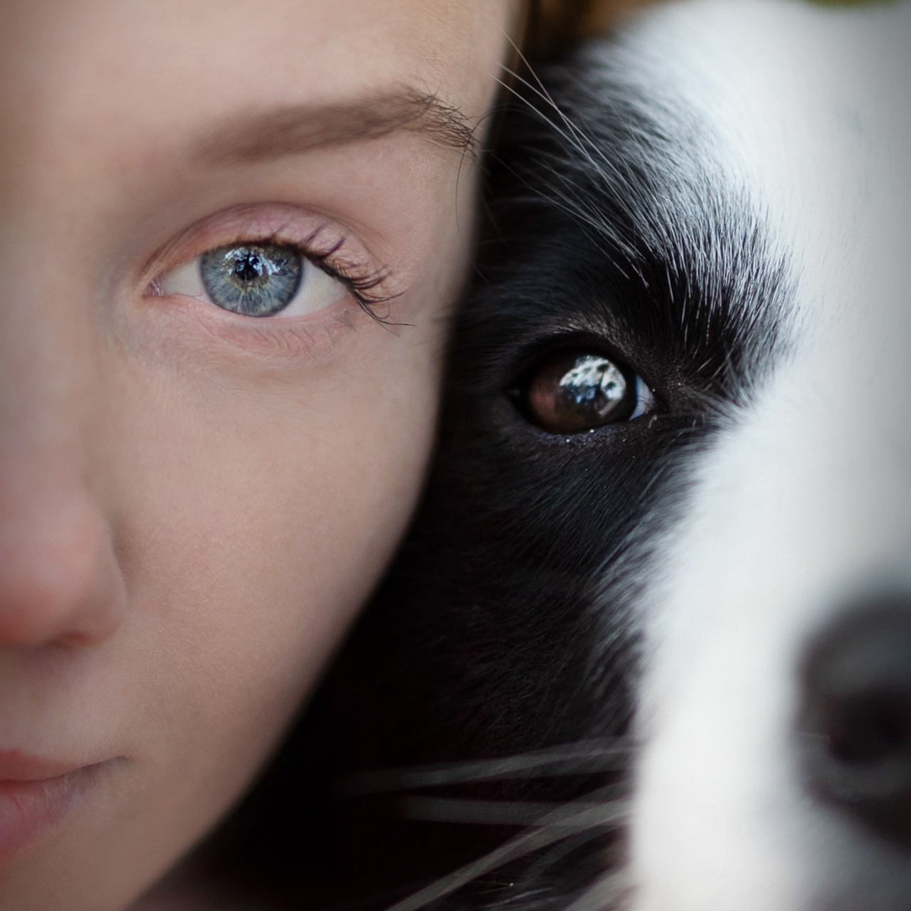 Отзывы. PRO АЛЬБОМ | Выпускные альбомы Иваново Ярославль