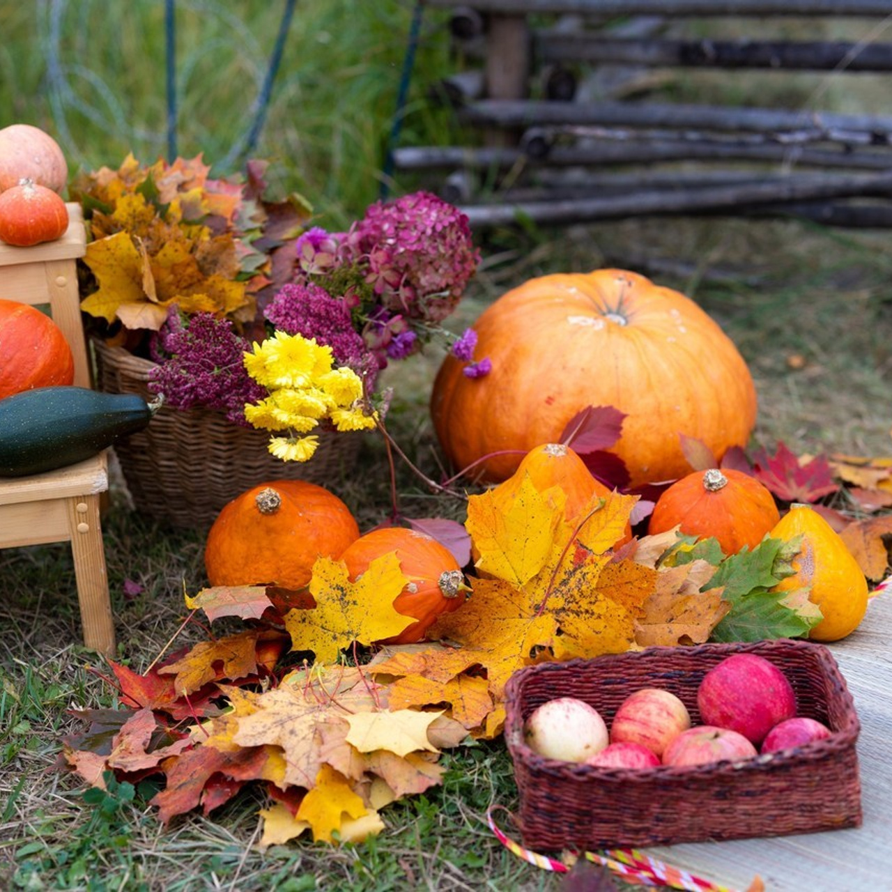 Отзывы. PRO АЛЬБОМ | Выпускные альбомы Иваново Ярославль