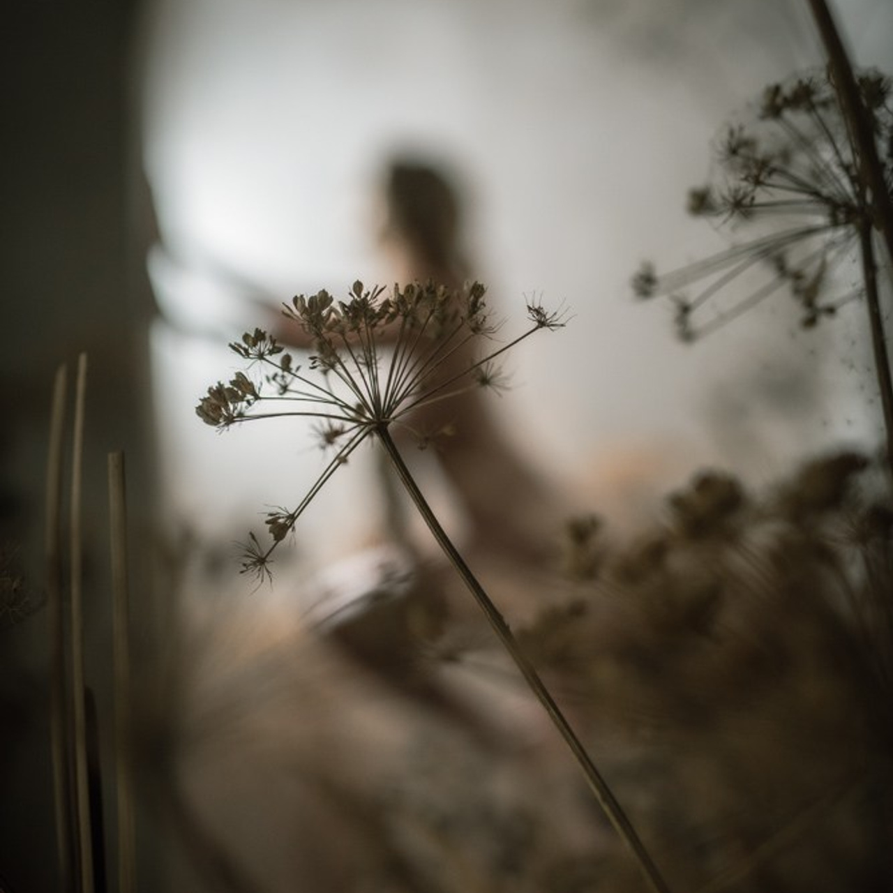 Отзывы. Фотограф в Алматы Новгородская Мария