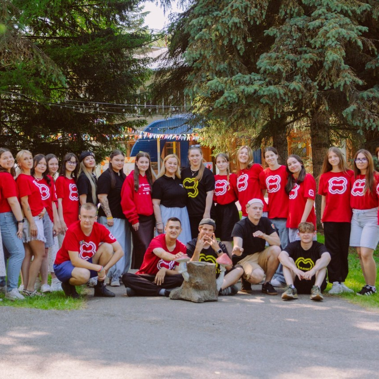 Отзывы. Лагерный фотограф Алёна Кольтябина