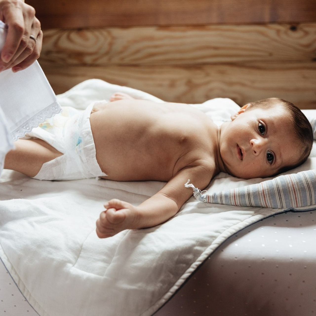 Отзывы. Семейный и свадебный фотограф в Донецке Елена Гордеева