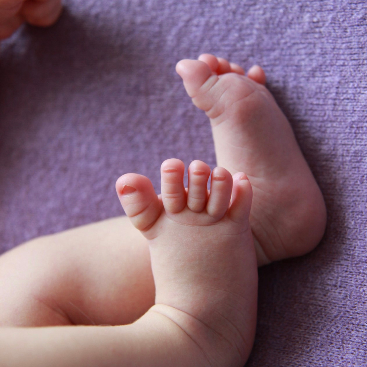 Отзывы. Baby1foto.ru Фотограф новорожденных детей Гульшат Лаврентьева