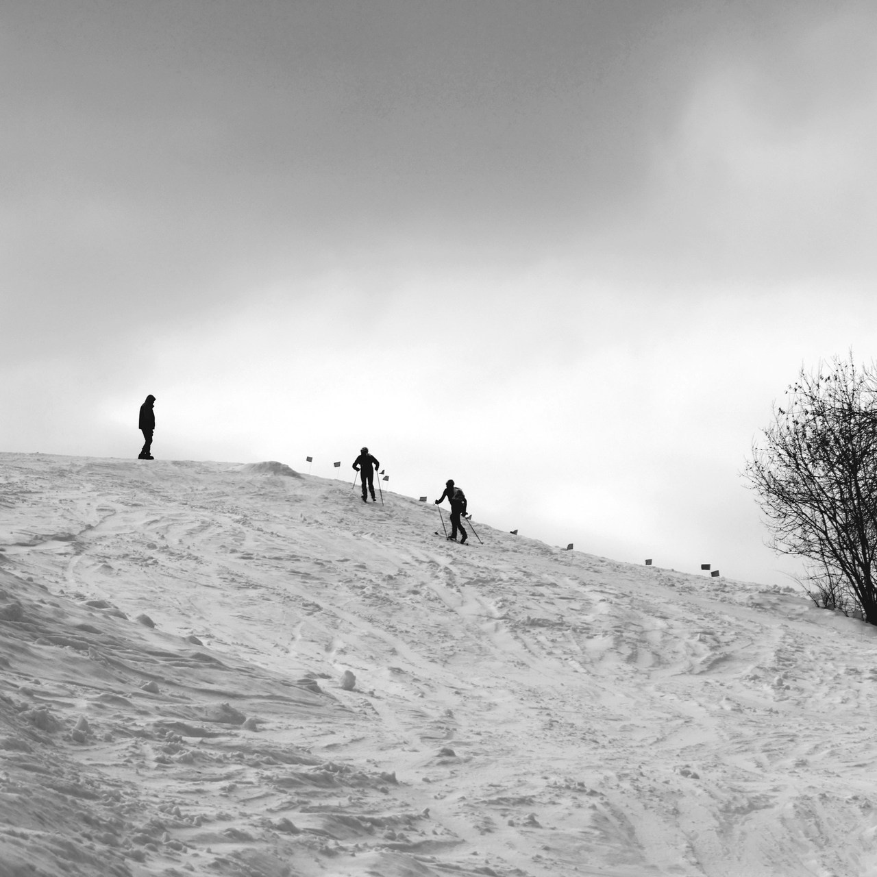 Отзывы. Мультифотограф Занадворова Евгения