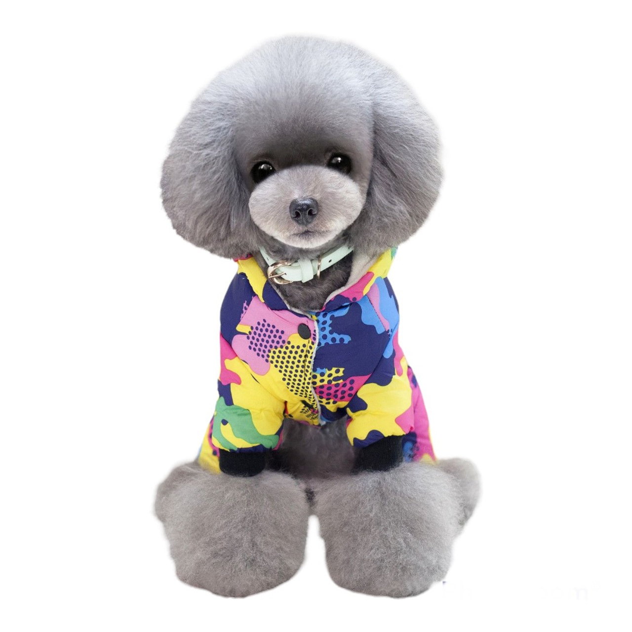 Комбинезоны для собак