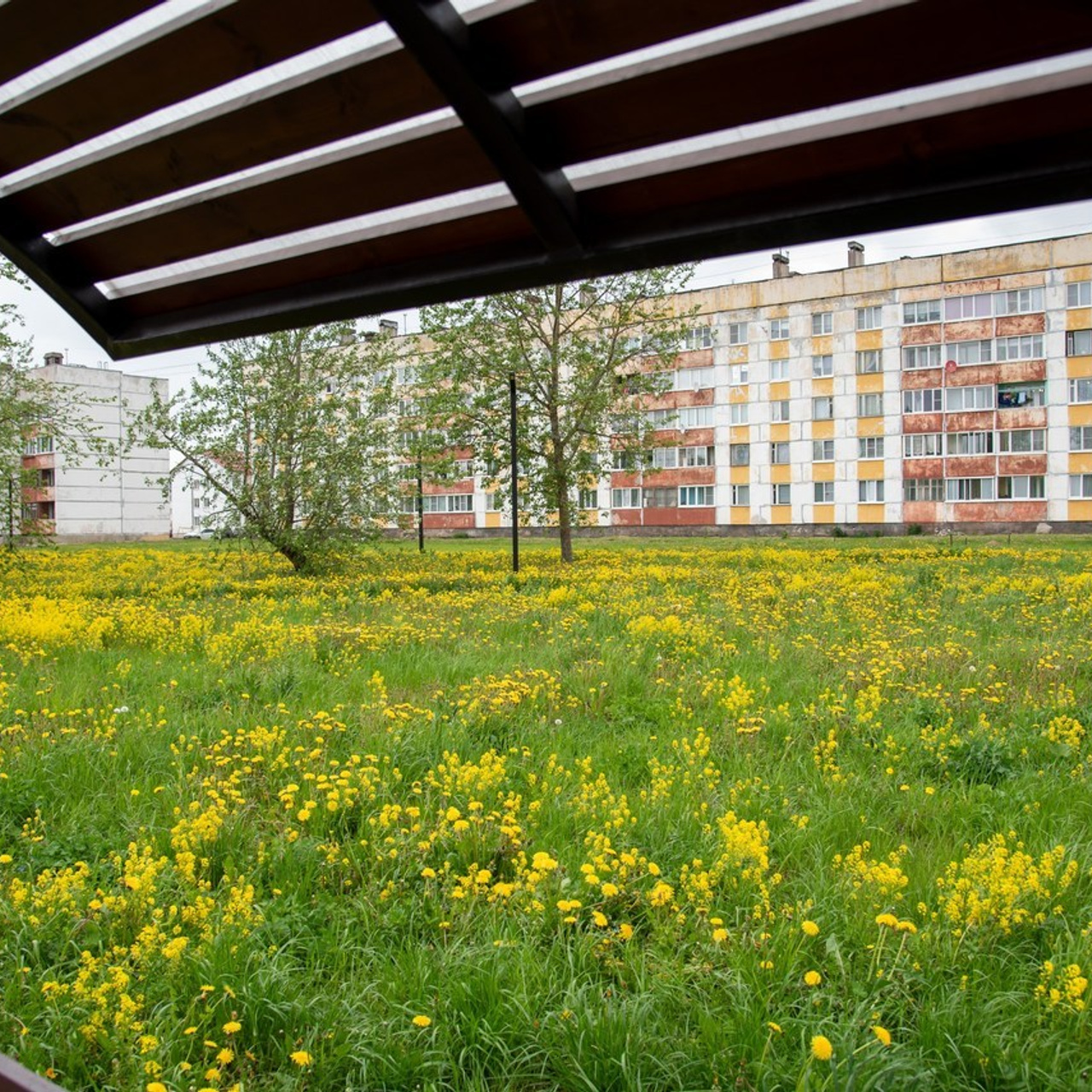 Отзывы. Елена Сергеева- фотограф для жизни и бренда. Фотосессии и репортаж мероприятий