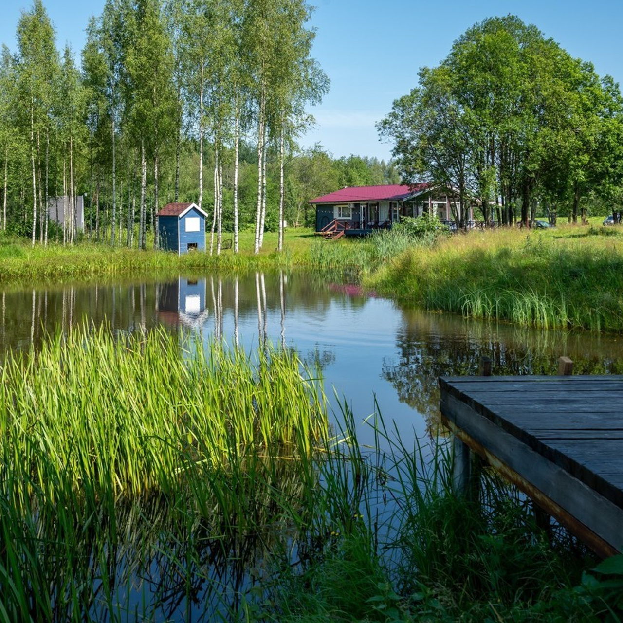 Отзывы. Елена Сергеева- фотограф для жизни и бренда. Фотосессии и репортаж мероприятий