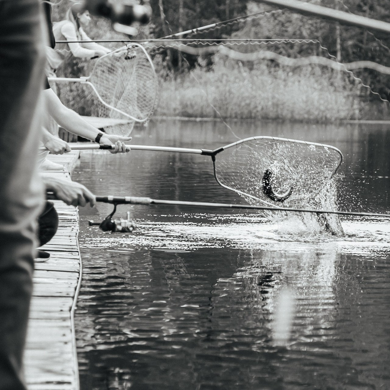 Фотогрф Иван Гуляев. Фотограф Иван Гуляев