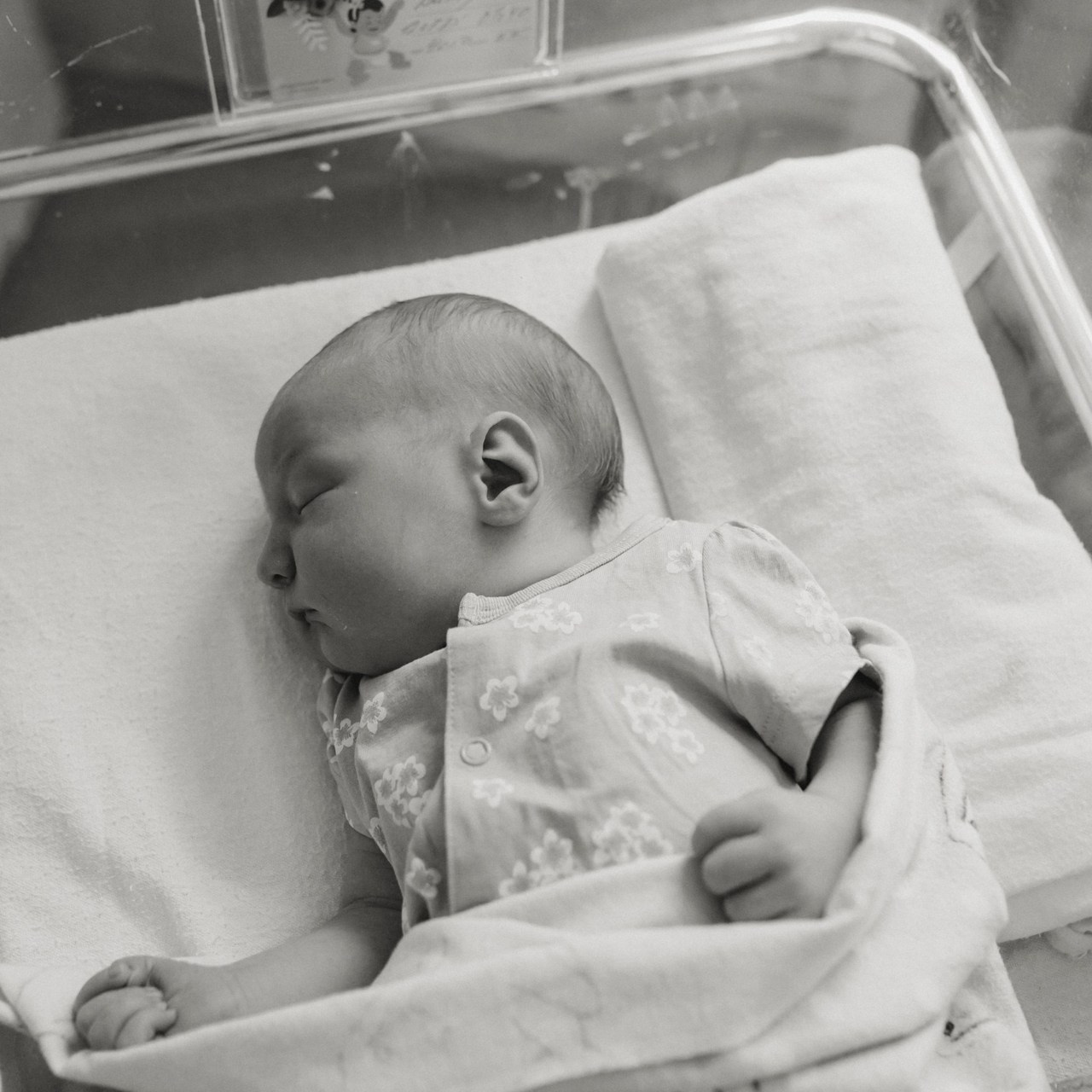 Отзывы. Семейный фотограф в Обнинске