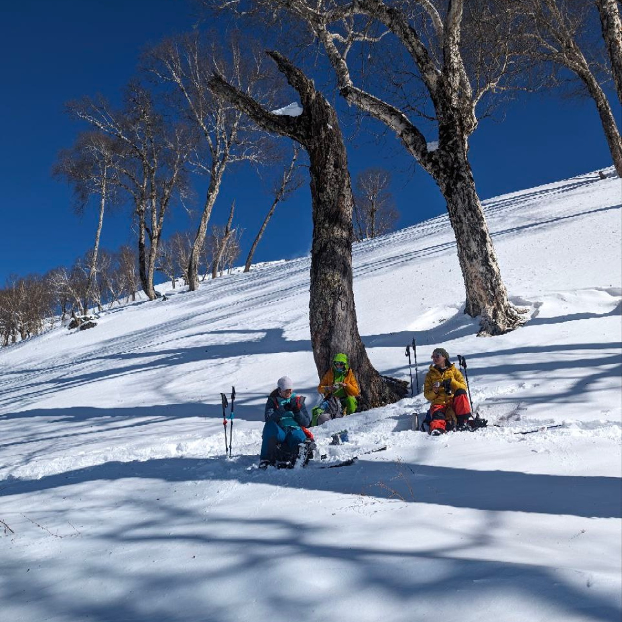 Путешествие в Долину Богов — Манали. Айгуль Лотфуллина. #АйгульТВ. Фотограф в Адлере и Сочи, Красной Поляне