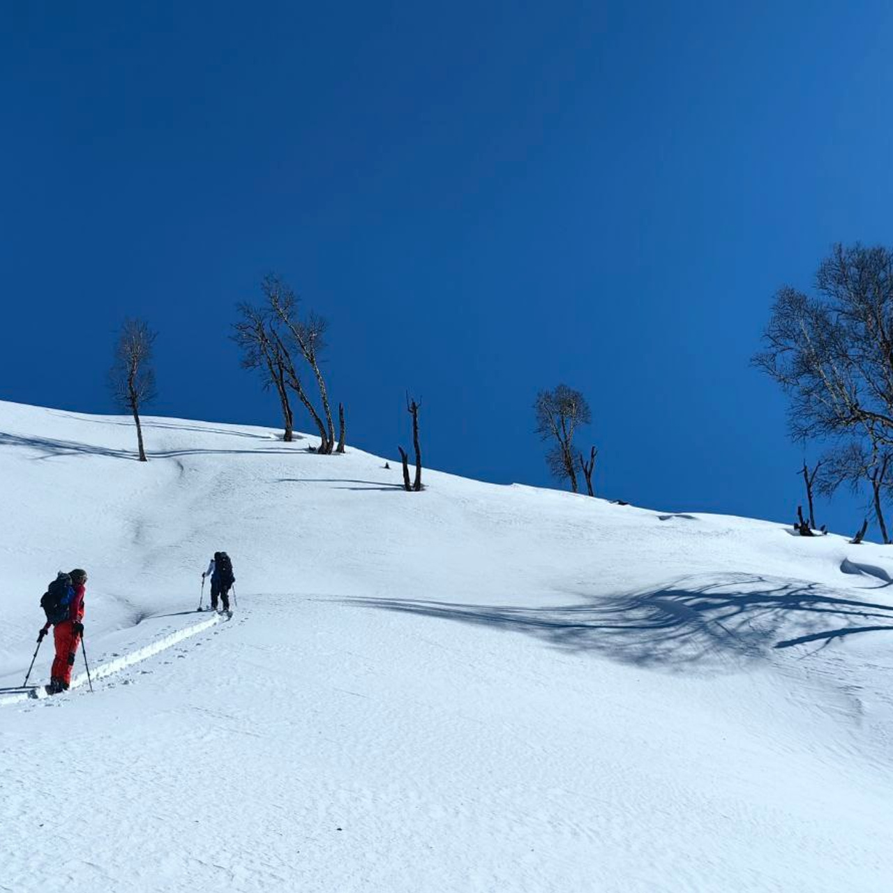 Путешествие в Долину Богов — Манали. Айгуль Лотфуллина. #АйгульТВ. Фотограф в Адлере и Сочи, Красной Поляне