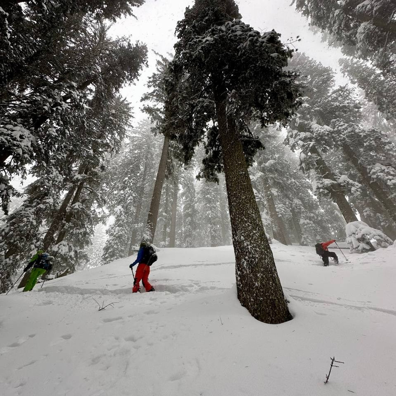 Путешествие в Долину Богов — Манали. Айгуль Лотфуллина. #АйгульТВ. Фотограф в Адлере и Сочи, Красной Поляне