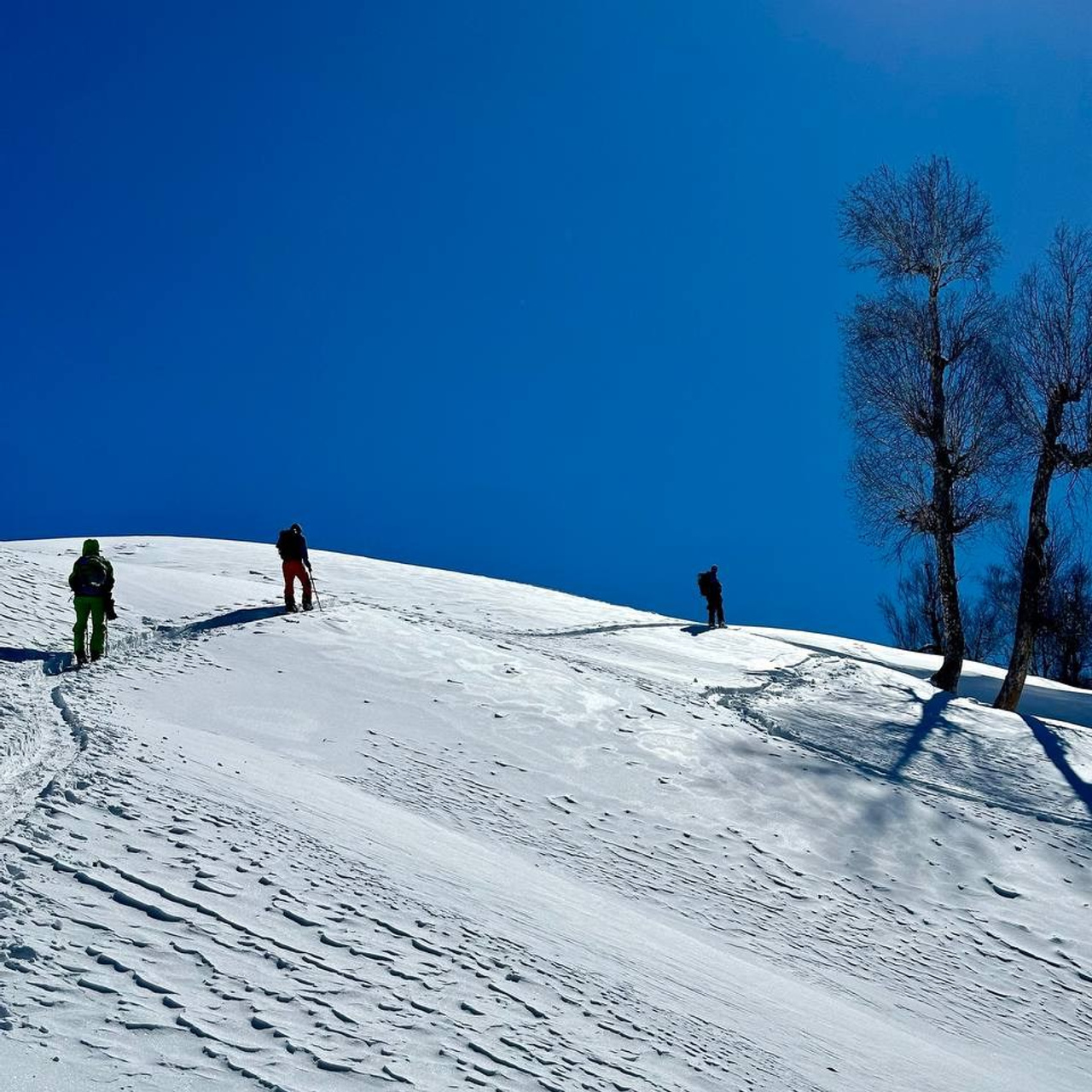 Путешествие в Долину Богов — Манали. Айгуль Лотфуллина. #АйгульТВ. Фотограф в Адлере и Сочи, Красной Поляне