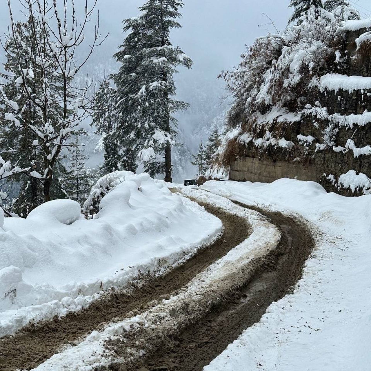 Путешествие в Долину Богов — Манали. Айгуль Лотфуллина. #АйгульТВ. Фотограф в Адлере и Сочи, Красной Поляне