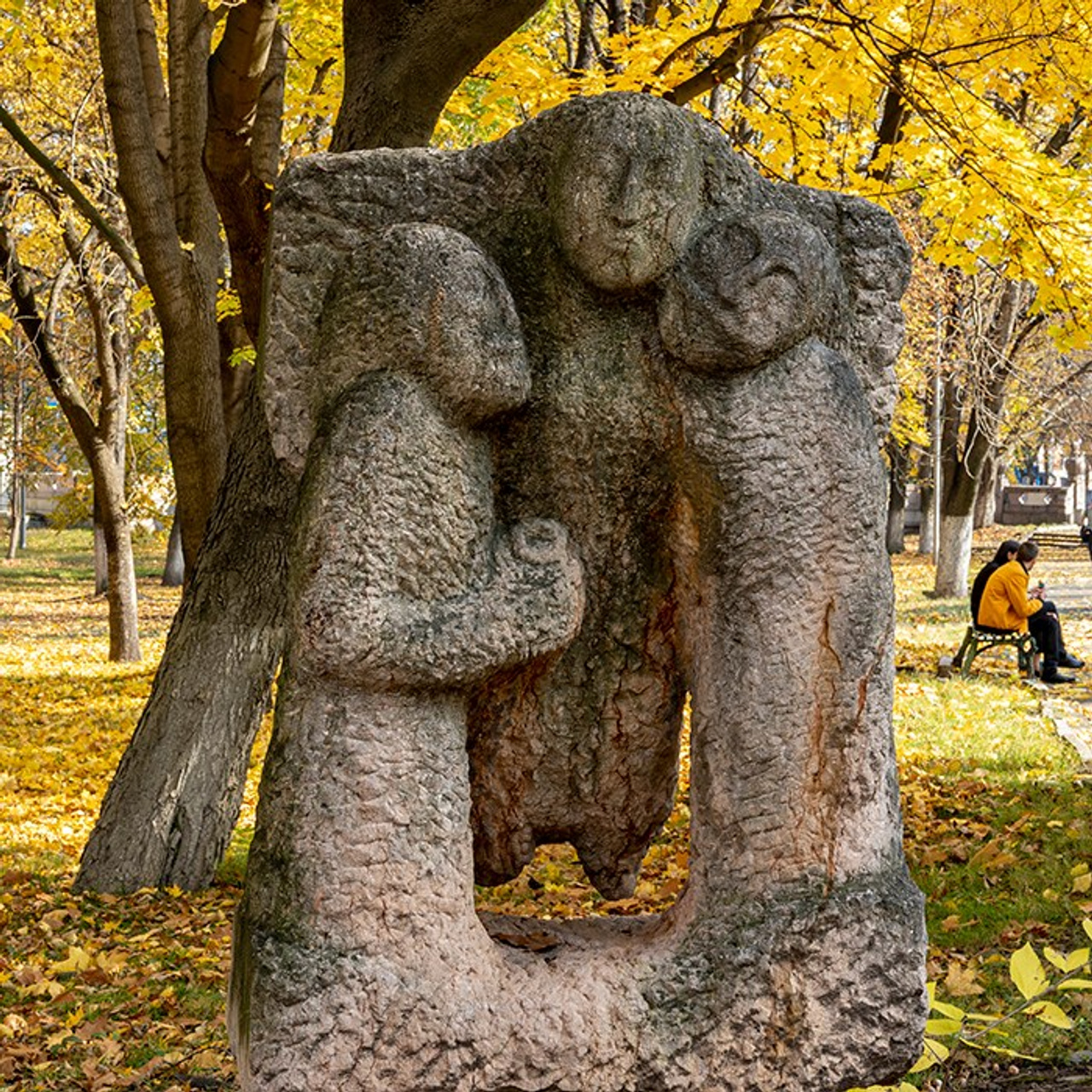 город Владикавказ