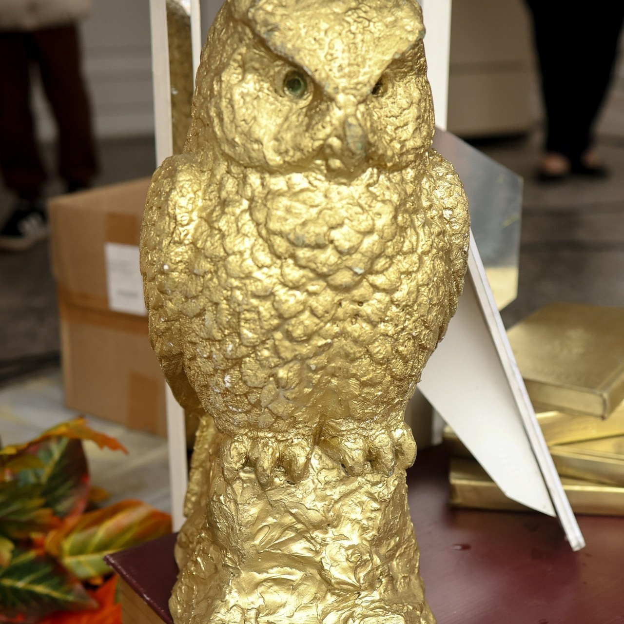 Реальные отзывы клиентов о фотосессиях в Кемерово