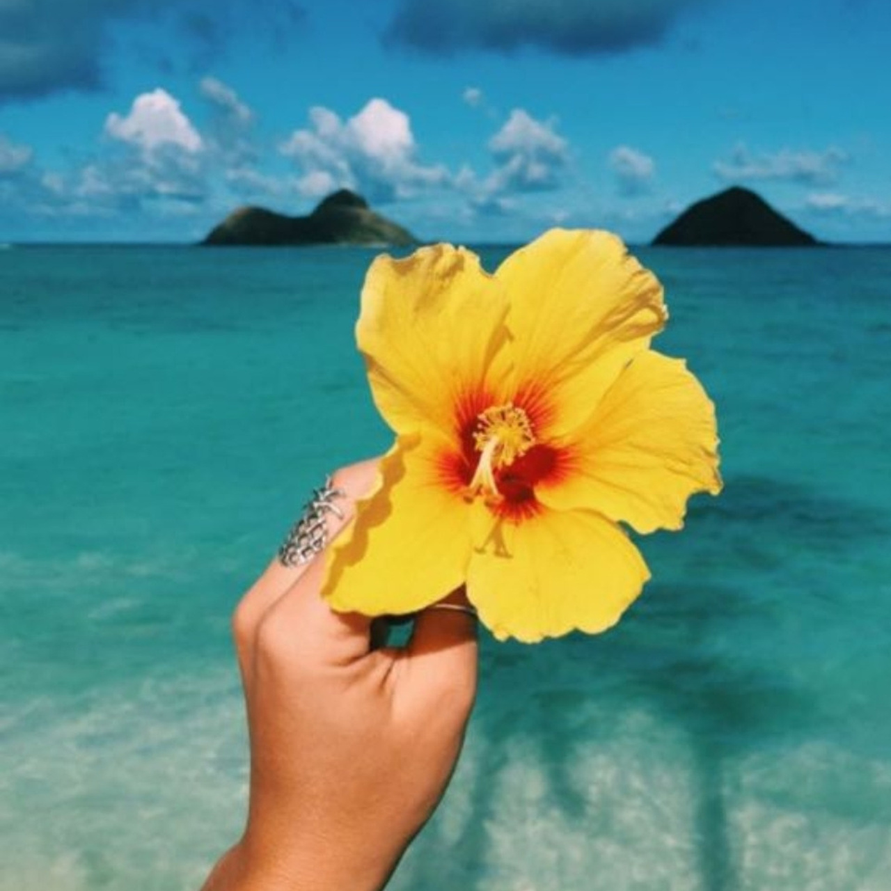 Отзывы. Профессиональный фотограф Москва Россия Граждан Олег