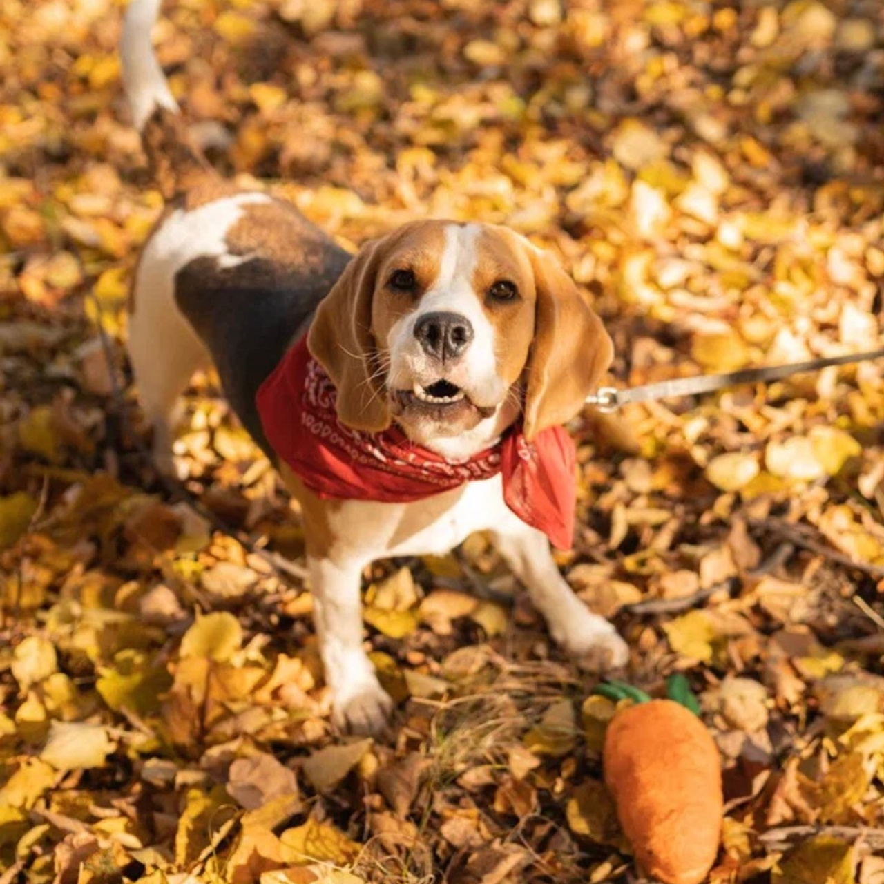 Отзывы. Портретный фотограф Кристина Лукьянова
