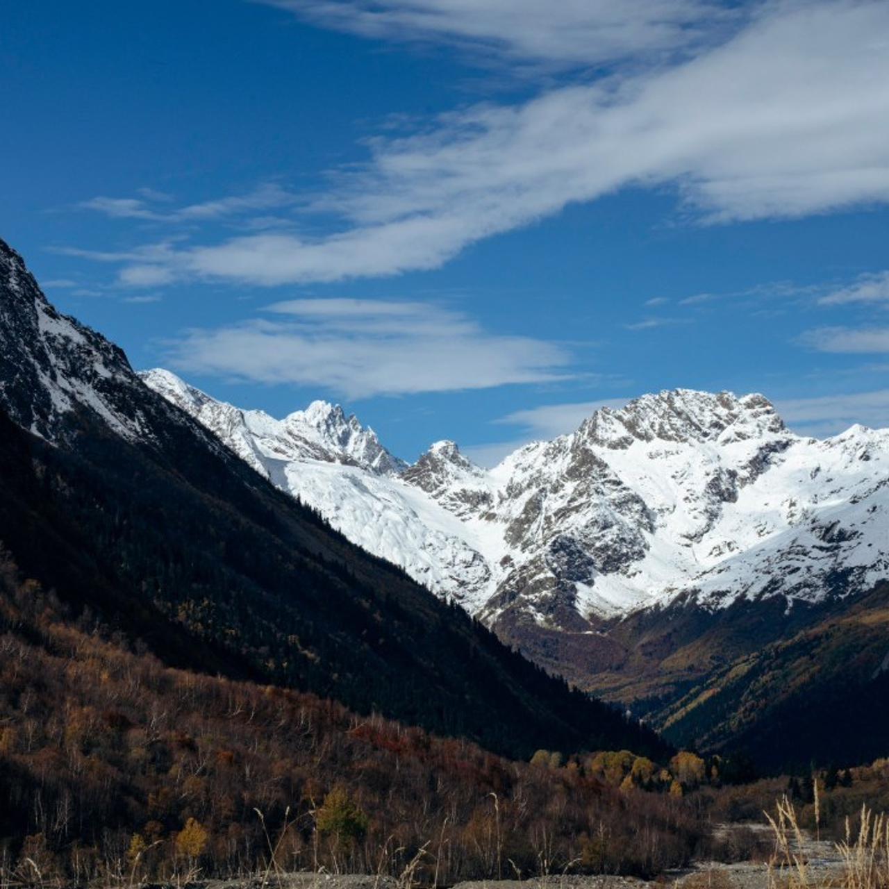 Отзывы. Фотограф в Ростове-на-Дону и по всему миру Веникова Ольга