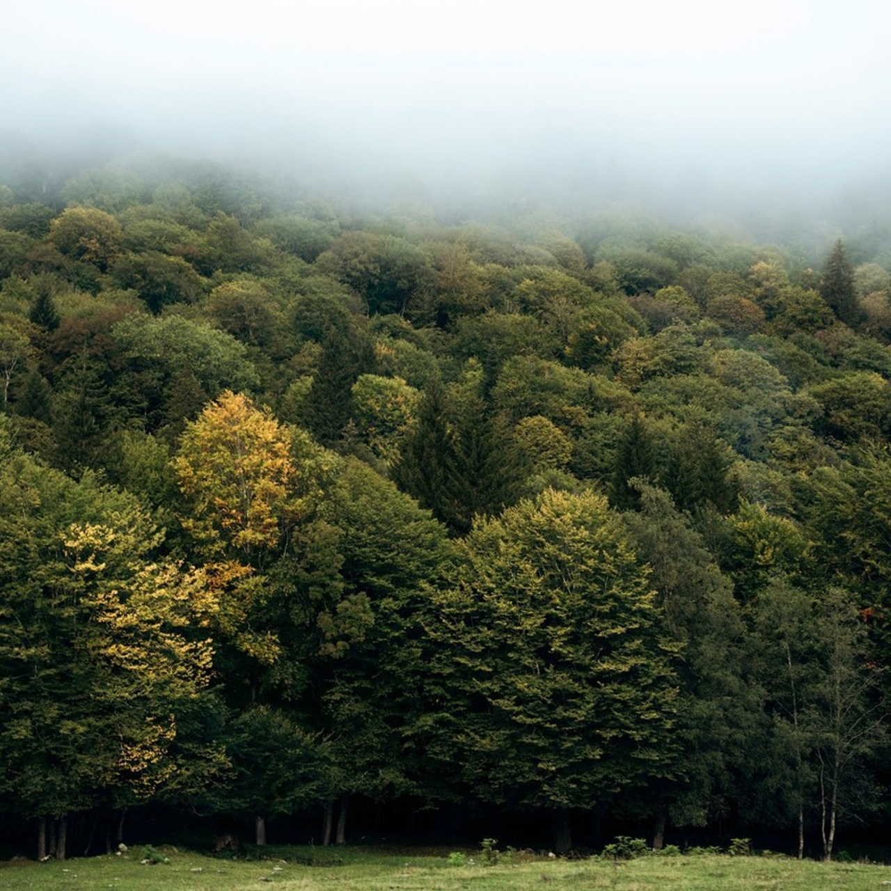 Отзывы. Фотограф в Ростове-на-Дону и по всему миру Веникова Ольга