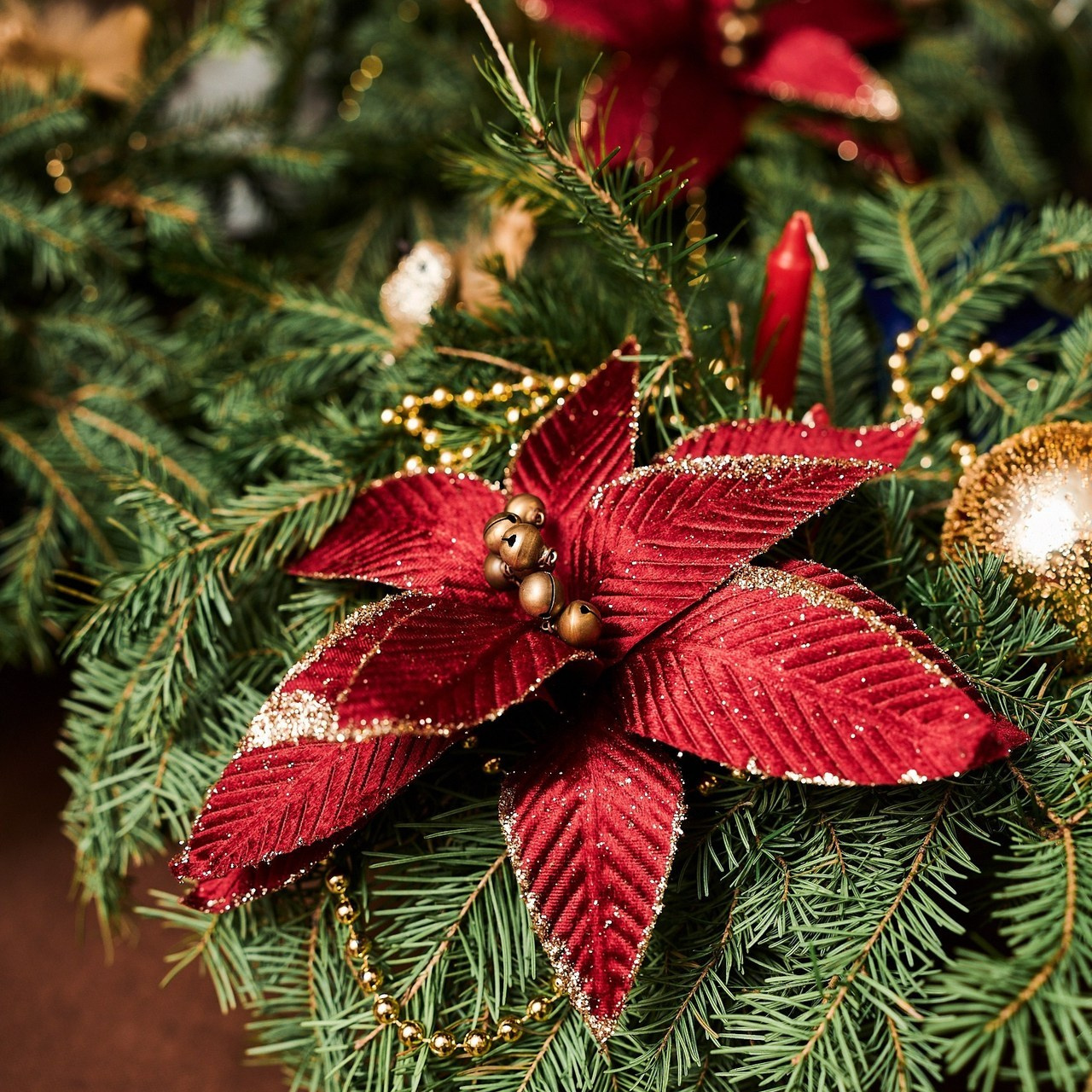 Отзывы. Матвей Яворский — фотограф в Челябинске