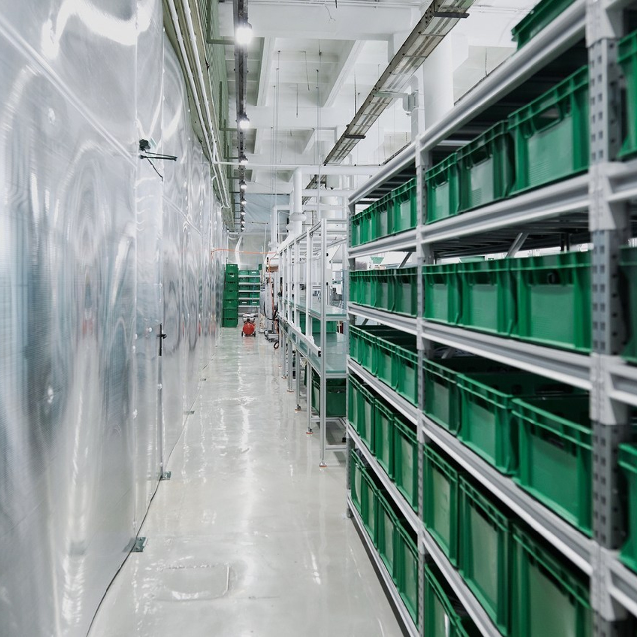 Отзывы. Матвей Яворский — фотограф в Челябинске