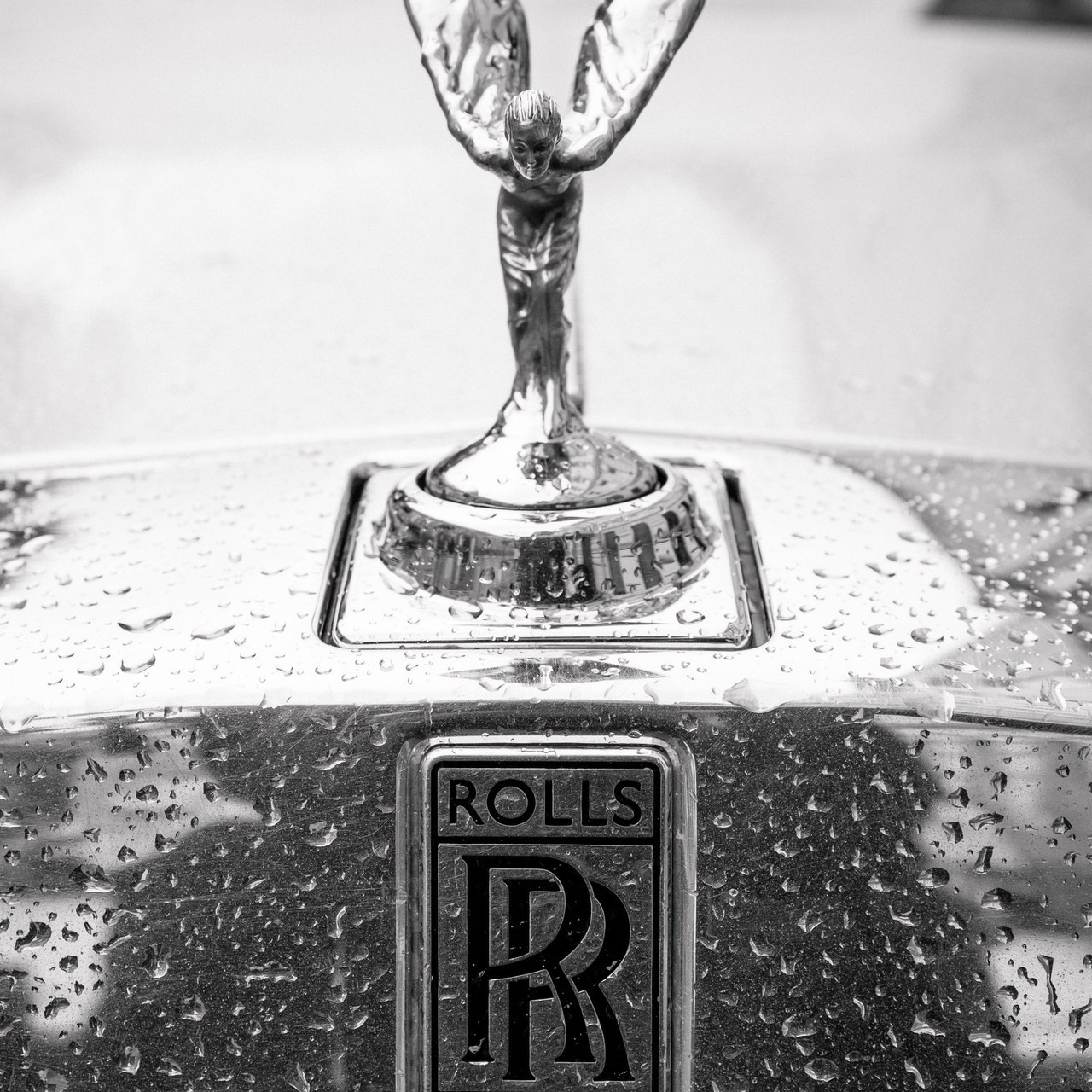 Отзывы. Свадебный и семейный фотограф