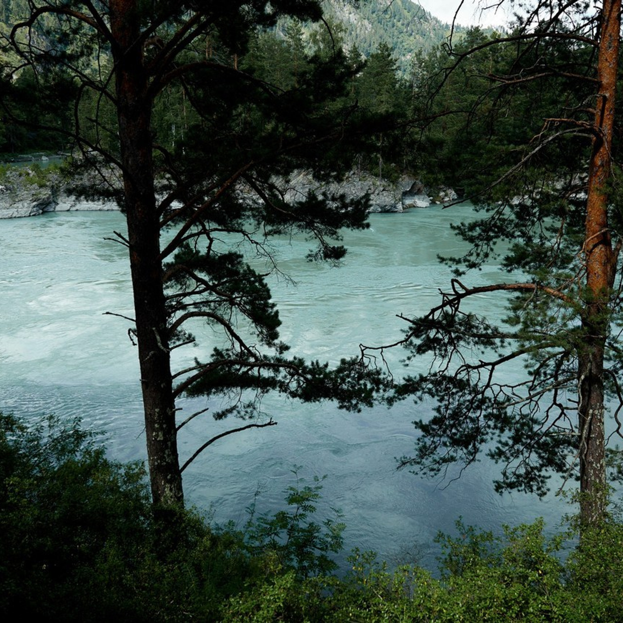 Отзывы. Профессиональный фотограф Светлана Писарева