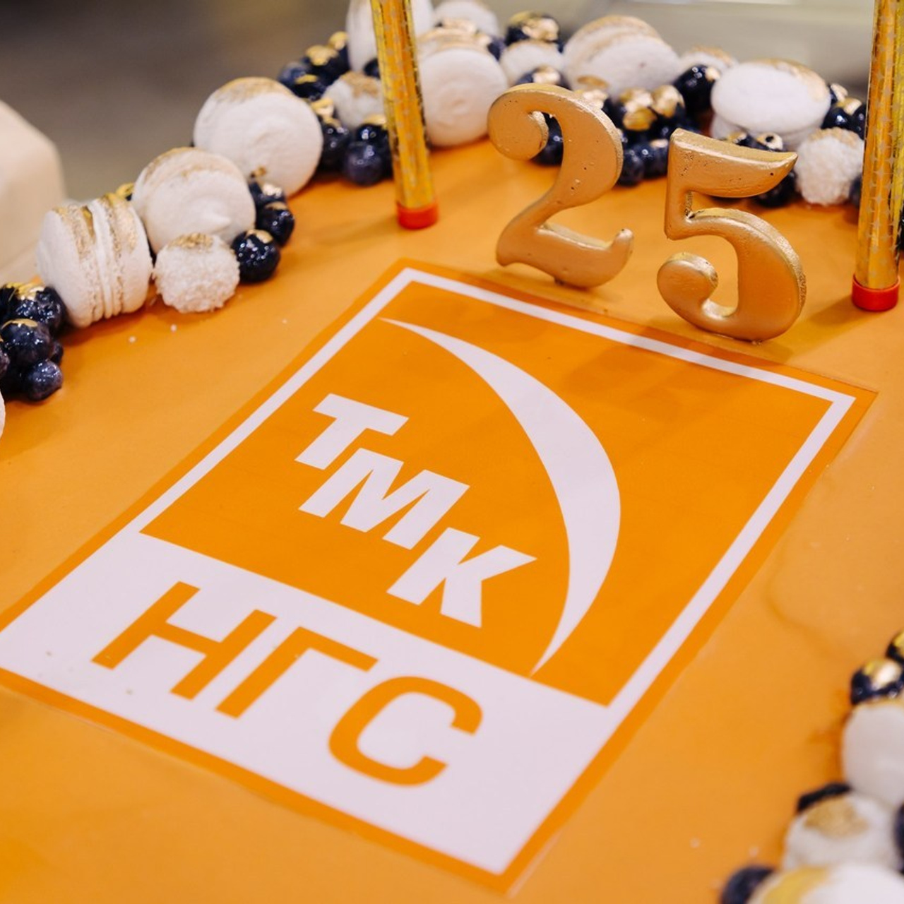 Отзывы. Репортажный фотограф Александр Чусь