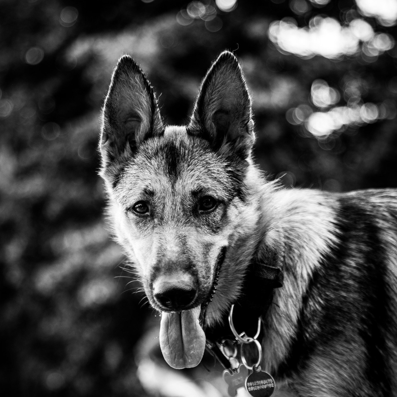 Отзывы. Репортажный и свадебный фотограф в Челябинске Елисеев Павел