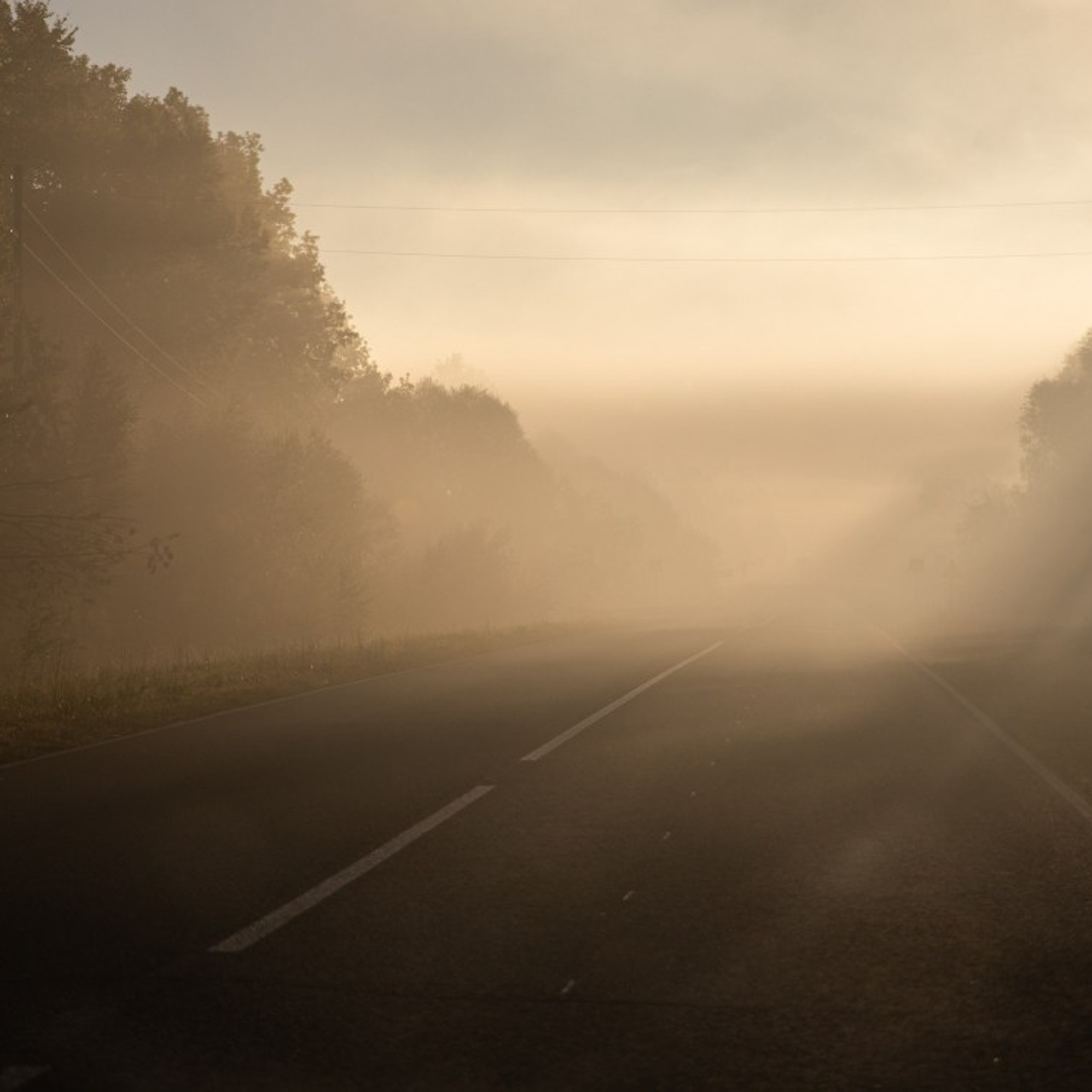 Отзывы. Репортажный и свадебный фотограф в Челябинске Елисеев Павел