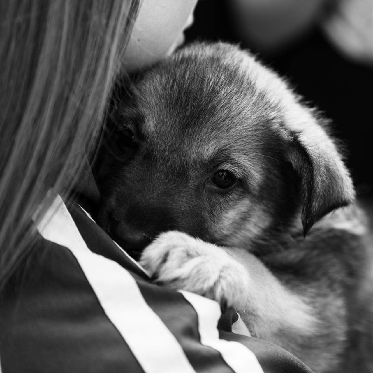Отзывы. Репортажный и свадебный фотограф в Челябинске Елисеев Павел
