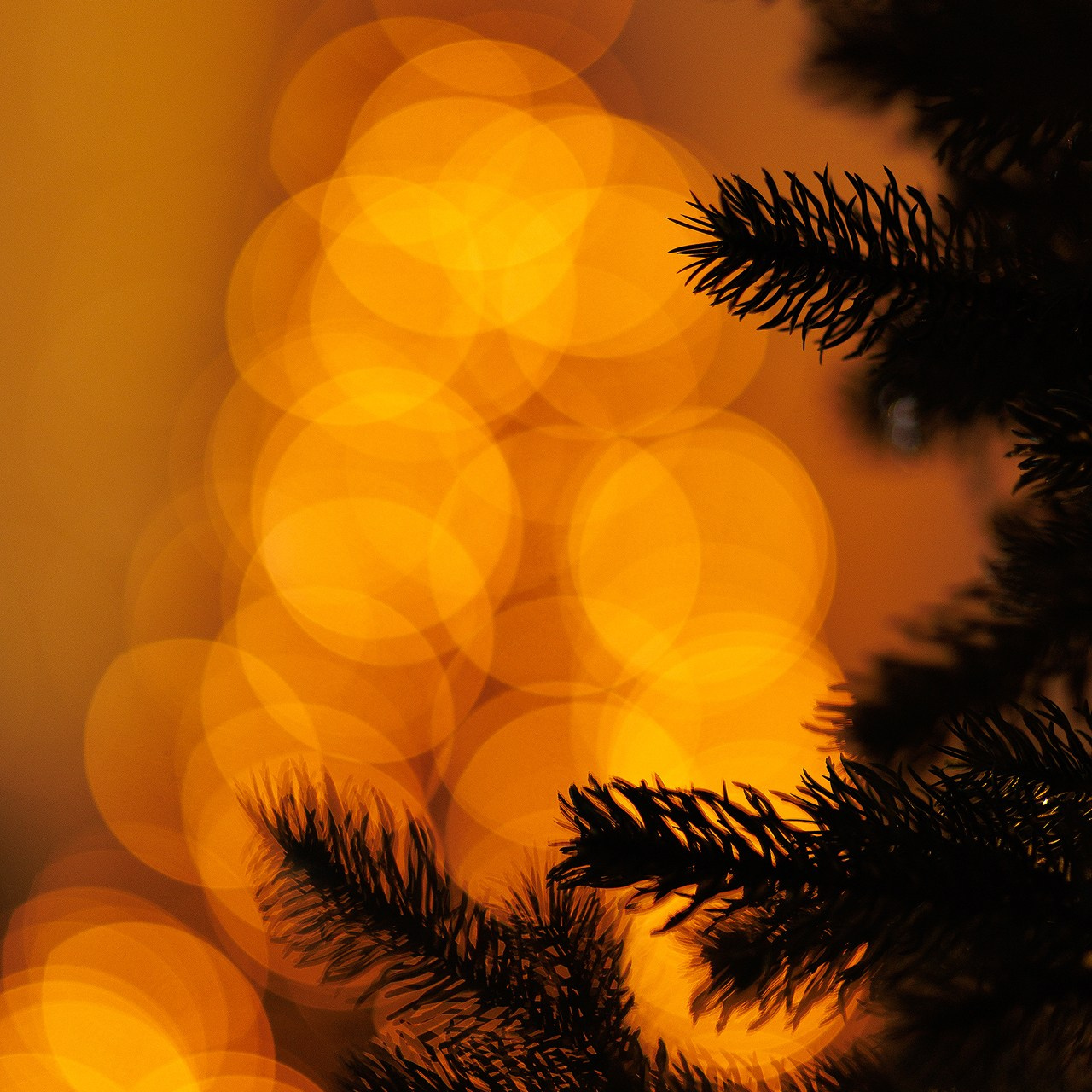 Прайс на новогодние фотосъемки. Свадебный и семейный фотограф Евгения Хомчановская