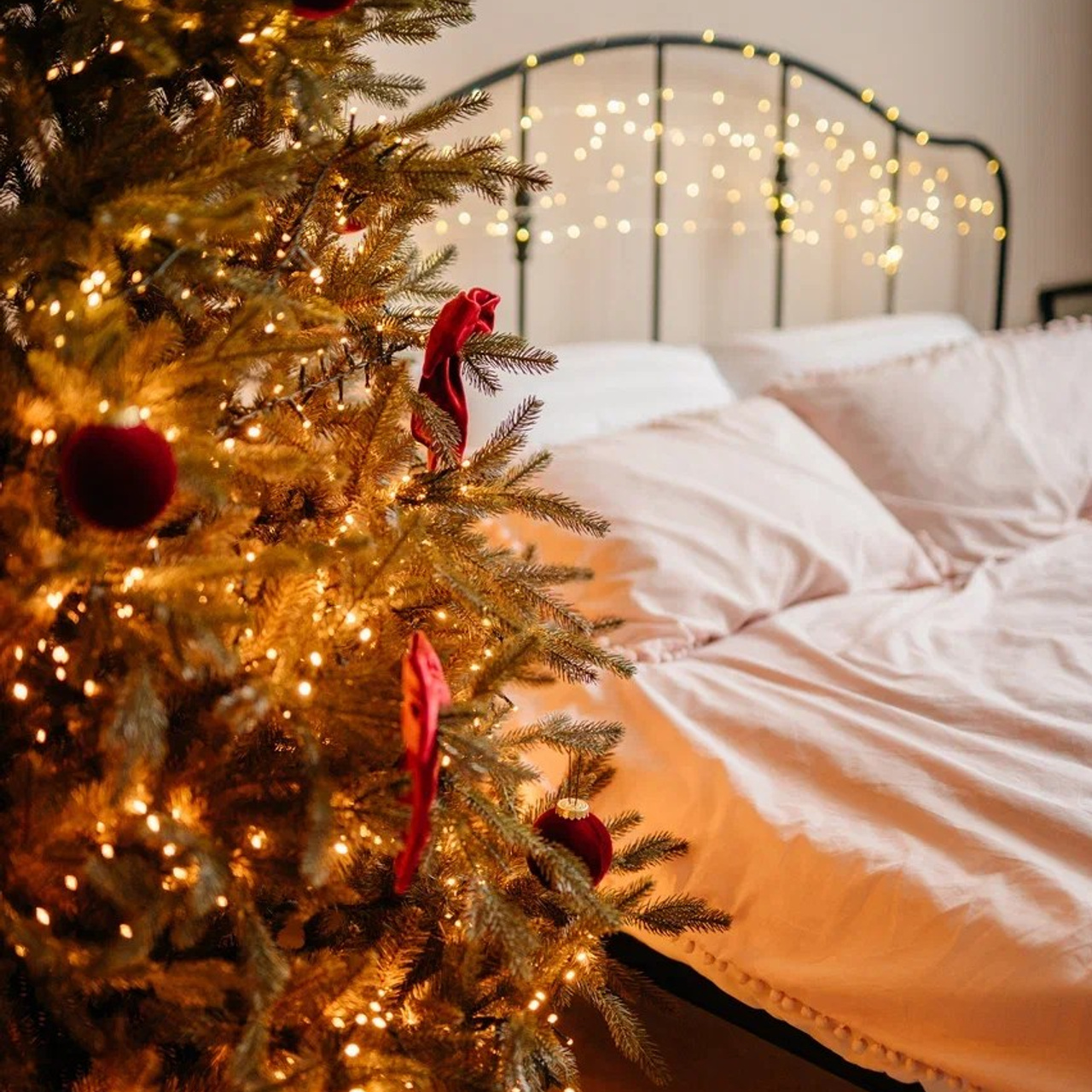 Прайс на новогодние фотосъемки. Свадебный и семейный фотограф Евгения Хомчановская