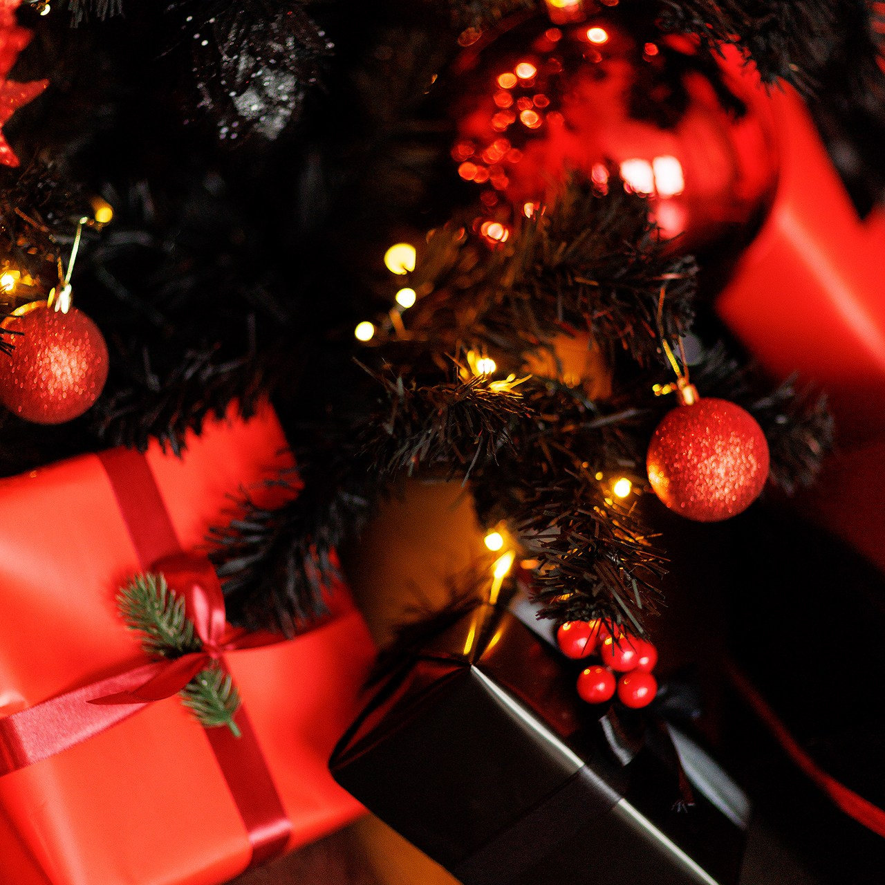 Прайс на новогодние фотосъемки. Свадебный и семейный фотограф Евгения Хомчановская