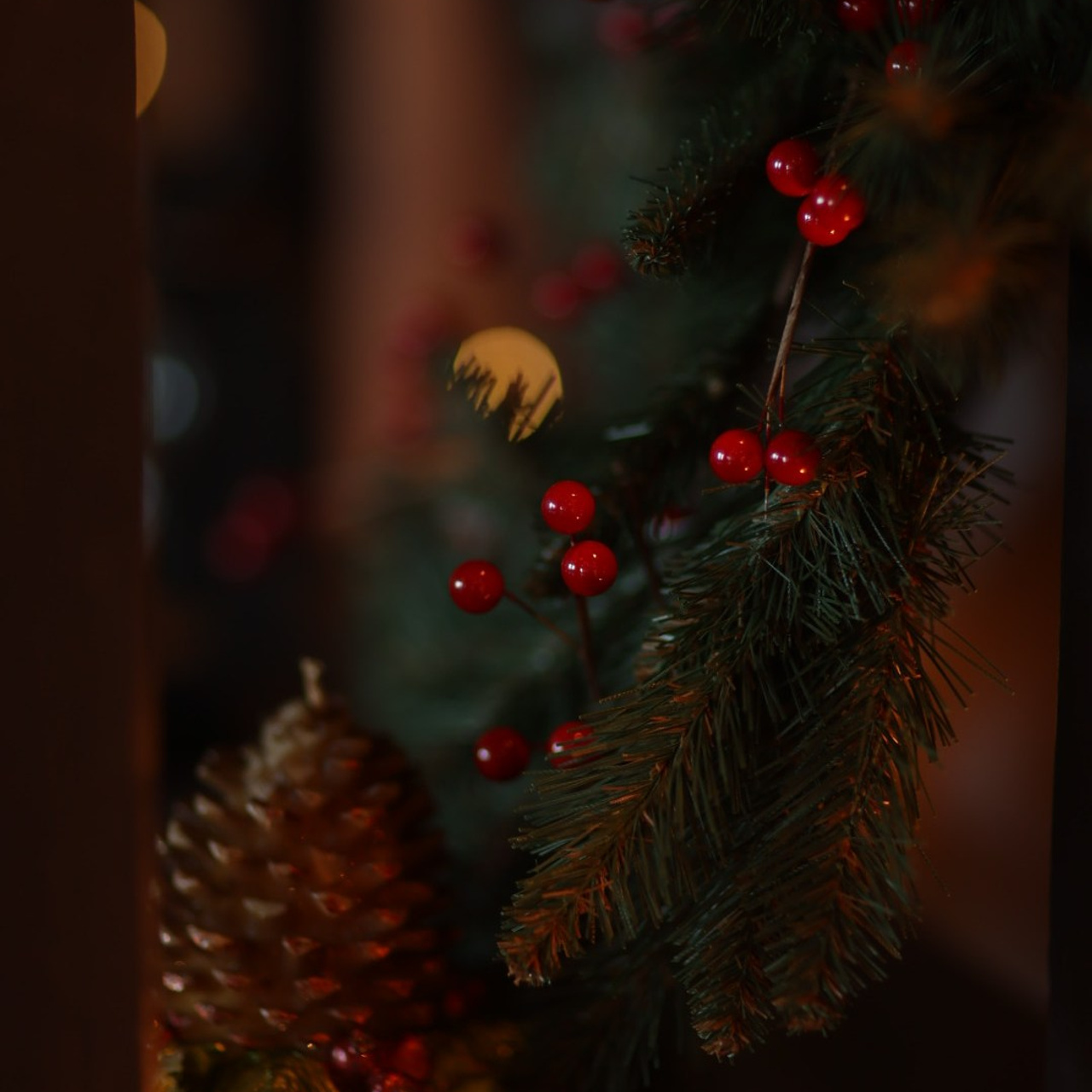 Прайс на новогодние фотосъемки. Свадебный и семейный фотограф Евгения Хомчановская