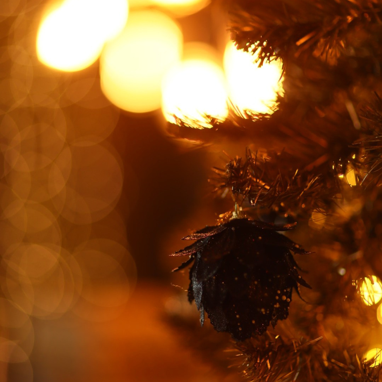 Прайс на новогодние фотосъемки. Свадебный и семейный фотограф Евгения Хомчановская