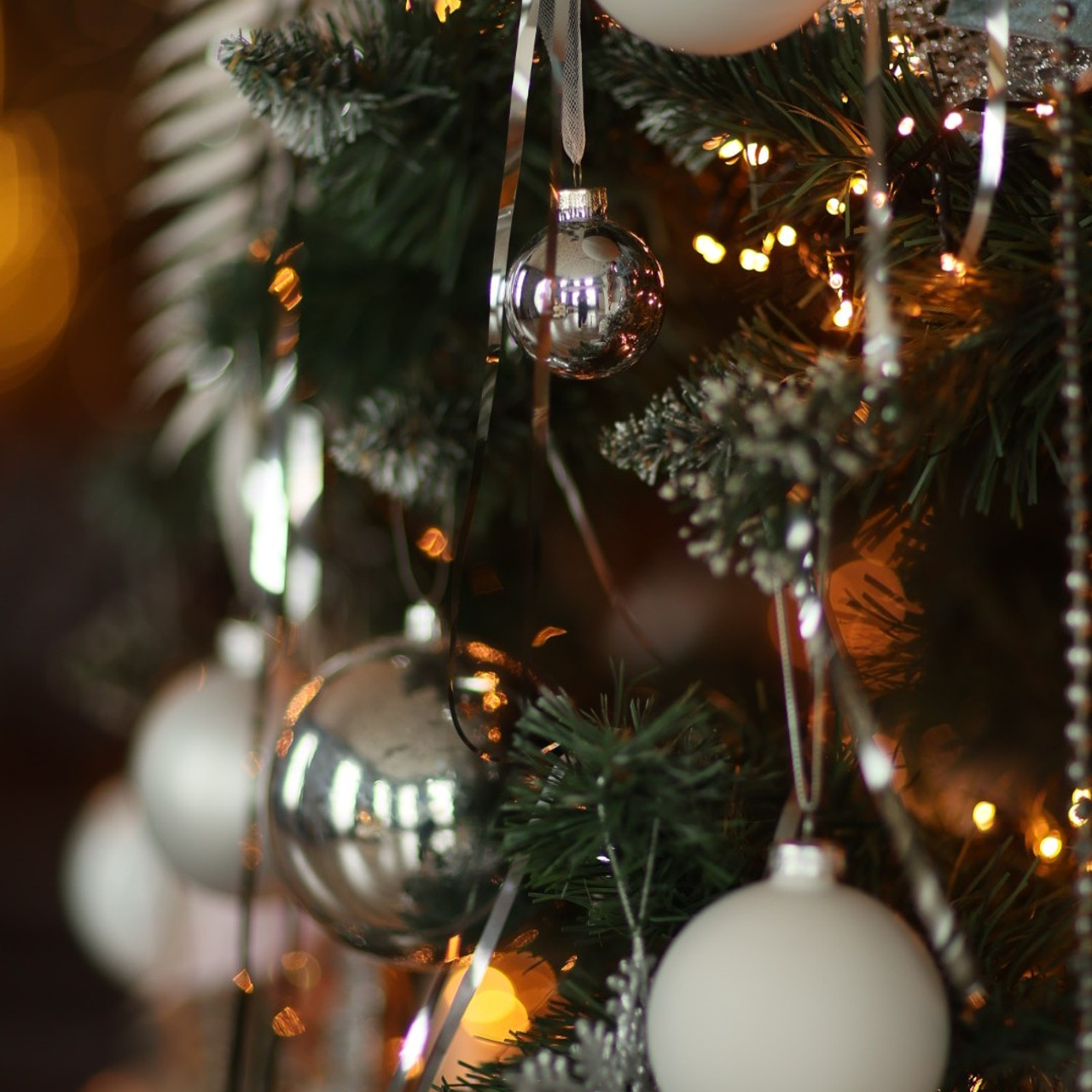 Прайс на новогодние фотосъемки. Свадебный и семейный фотограф Евгения Хомчановская