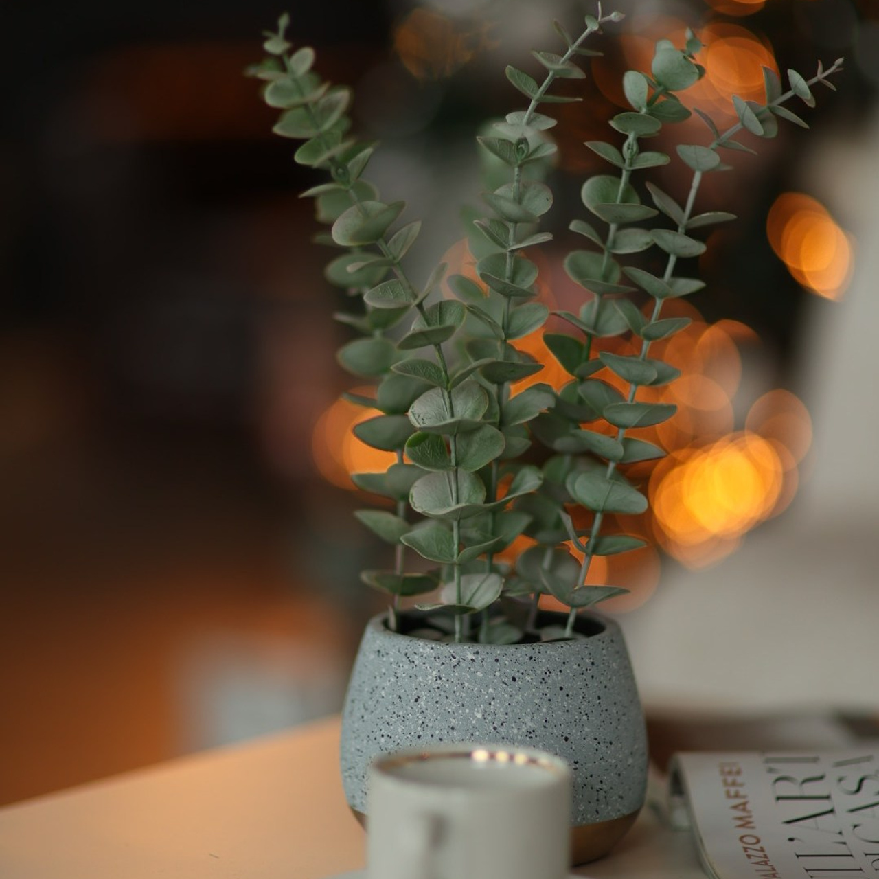 Прайс на новогодние фотосъемки. Свадебный и семейный фотограф Евгения Хомчановская