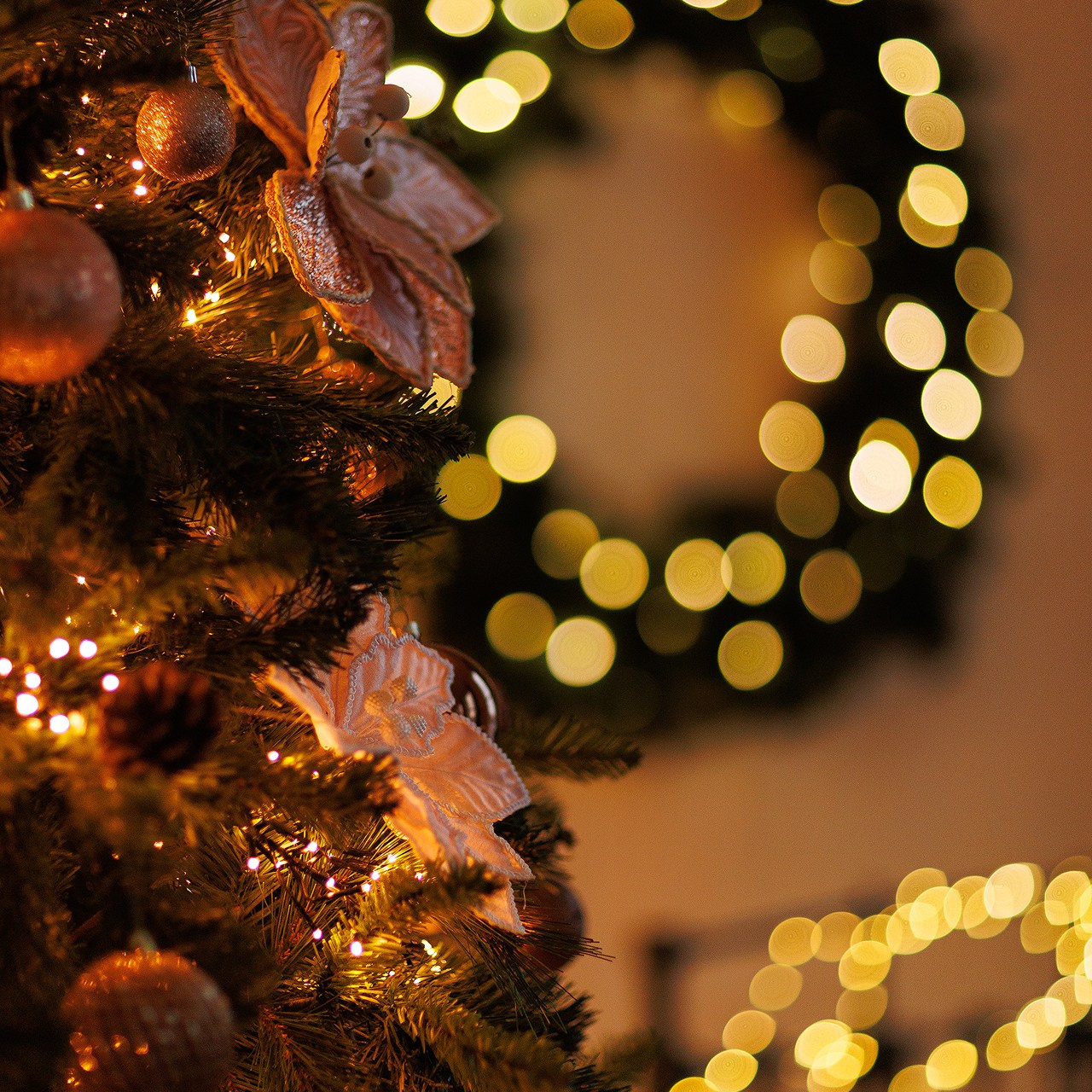 Прайс на новогодние фотосъемки. Свадебный и семейный фотограф Евгения Хомчановская