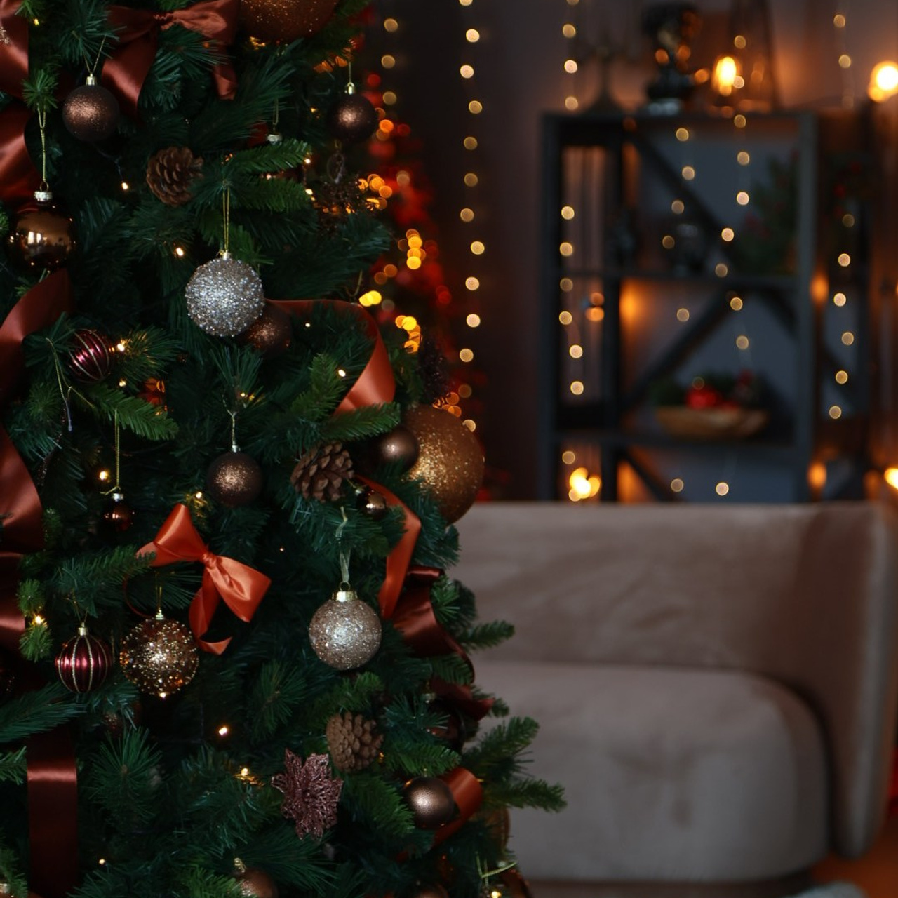 Прайс на новогодние фотосъемки. Свадебный и семейный фотограф Евгения Хомчановская