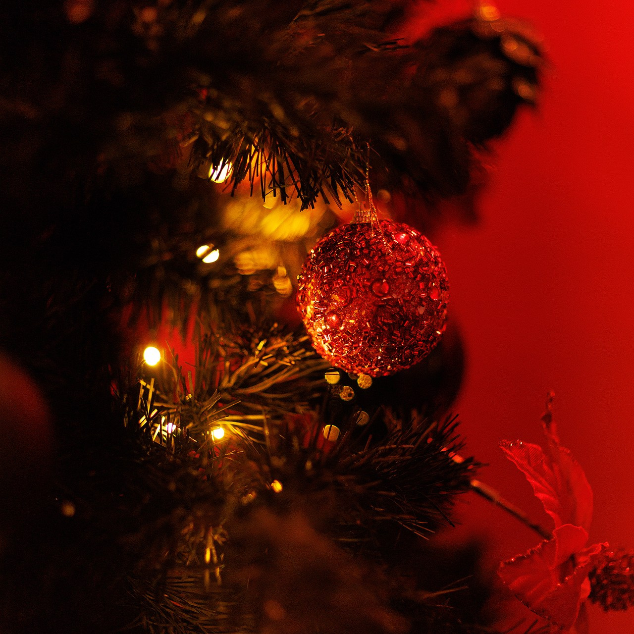 Прайс на новогодние фотосъемки. Свадебный и семейный фотограф Евгения Хомчановская