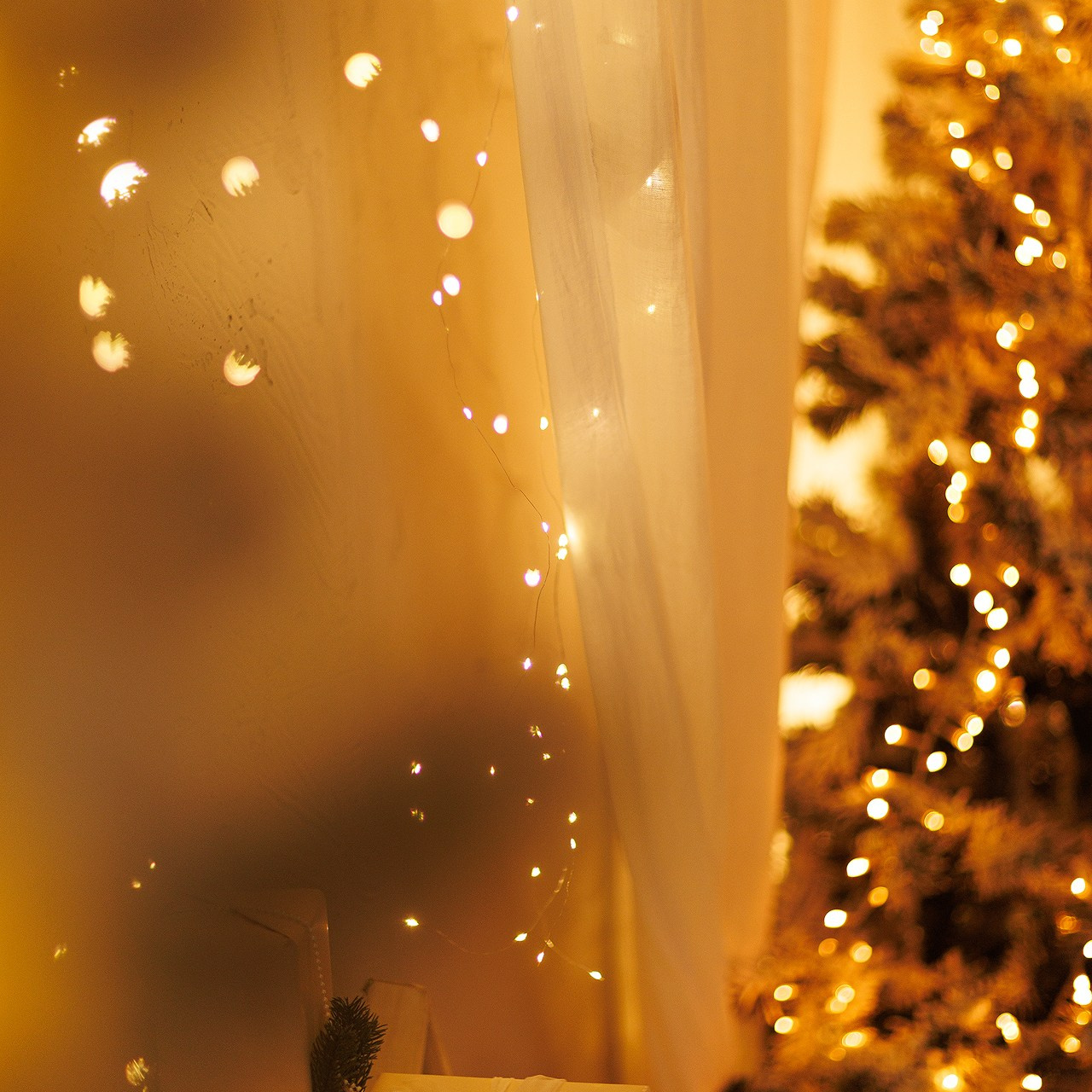 Прайс на новогодние фотосъемки. Свадебный и семейный фотограф Евгения Хомчановская