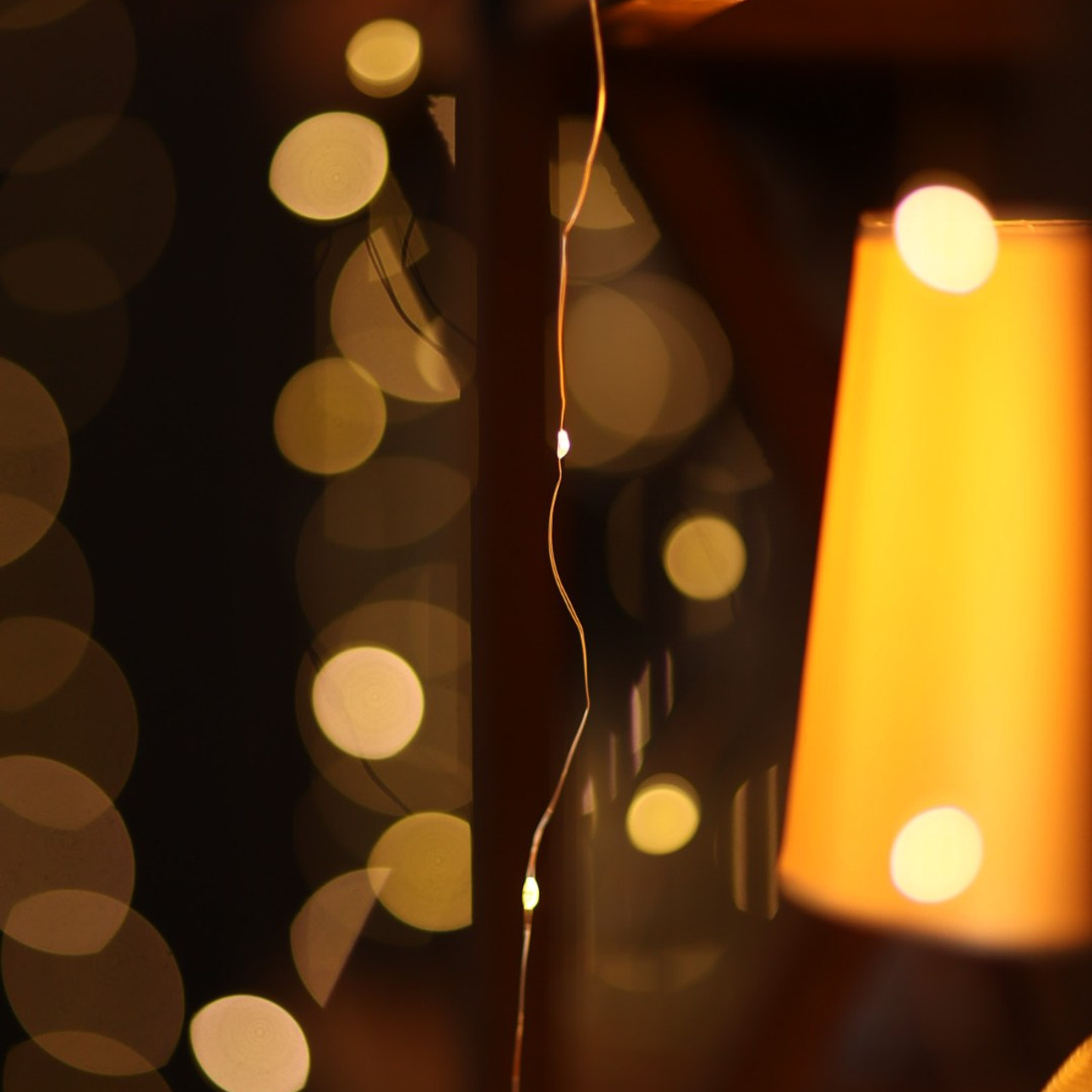 Прайс на новогодние фотосъемки. Свадебный и семейный фотограф Евгения Хомчановская