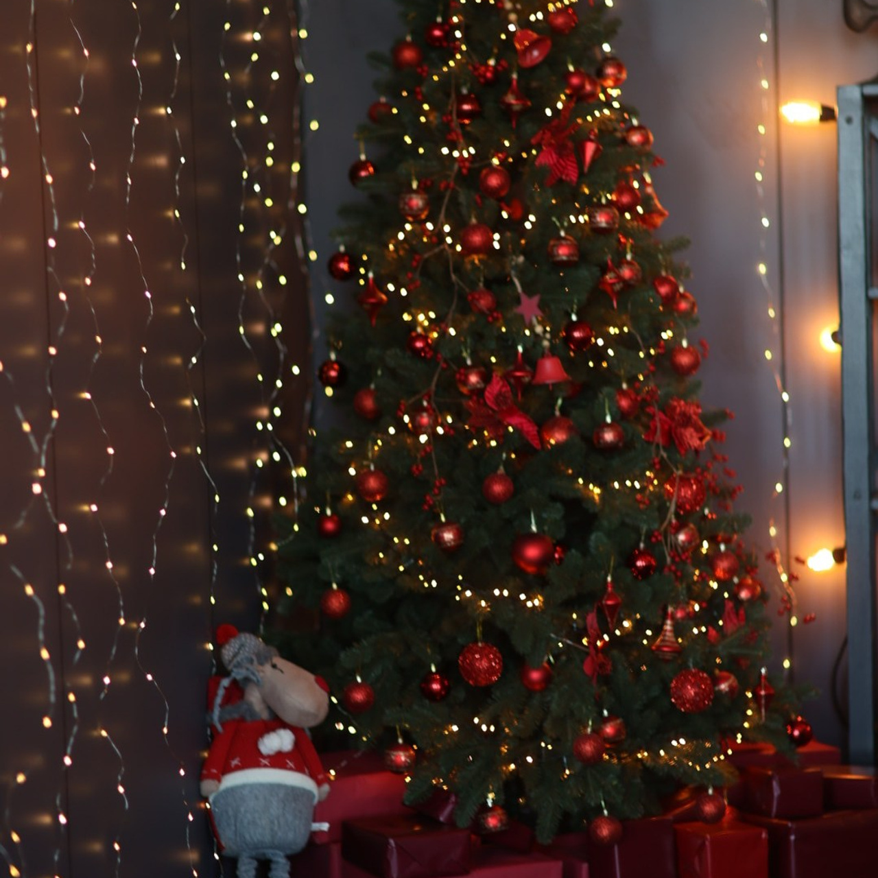 Прайс на новогодние фотосъемки. Свадебный и семейный фотограф Евгения Хомчановская