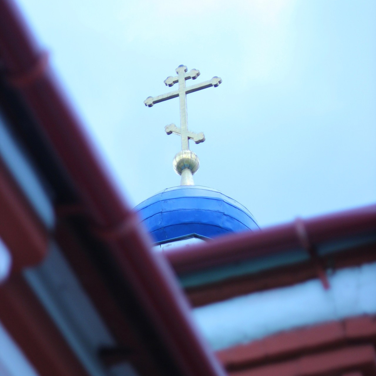 Отзывы. Ваш личный фотограф в Москве Мила