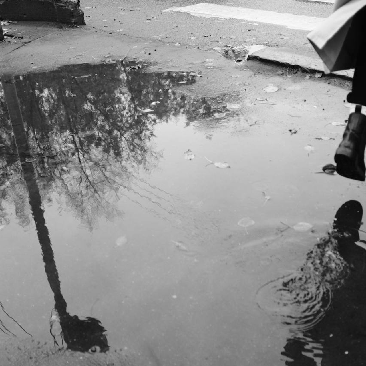 Alekseyes| фото- и видеосъемка для бизнеса в Кирове