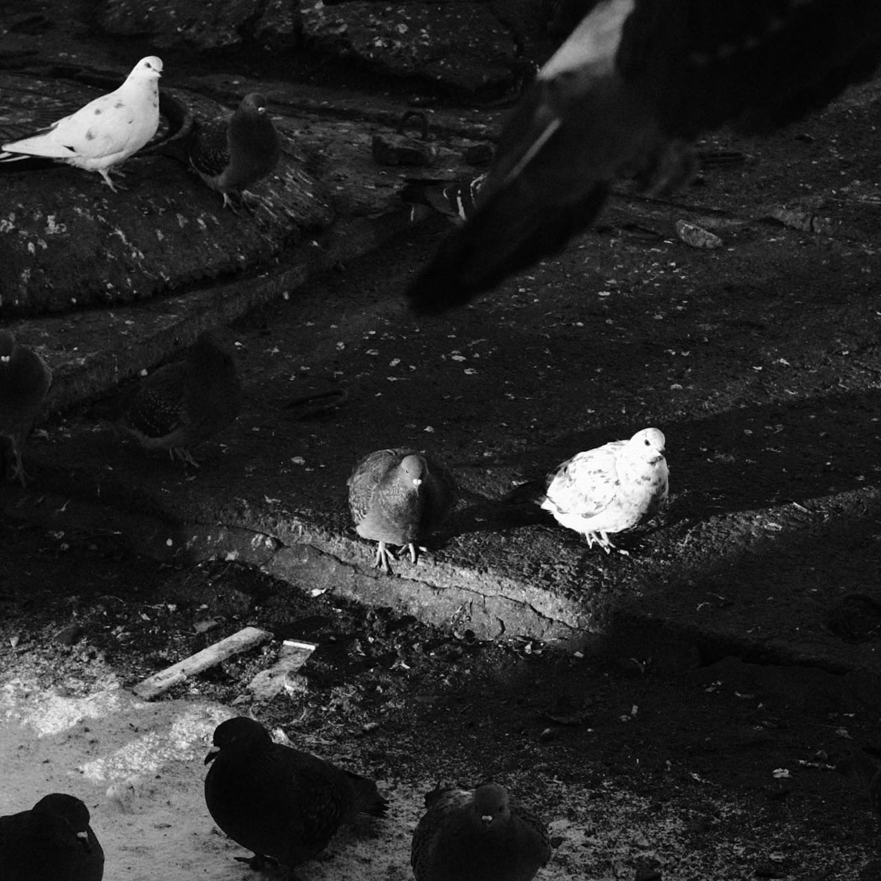 Alekseyes| фото- и видеосъемка для бизнеса в Кирове